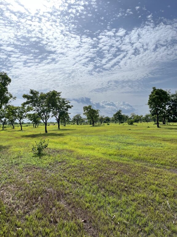 Farmland in the Western Region of Ghana